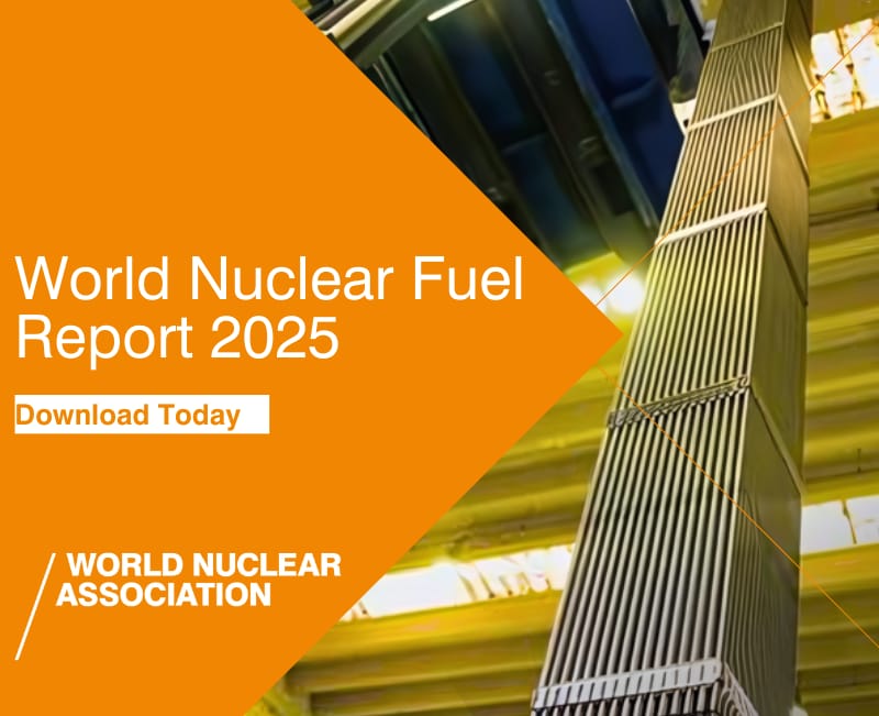 World Nuclear Fuel Report